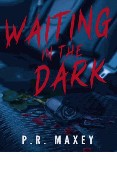 Waiting in the Dark Cover Image