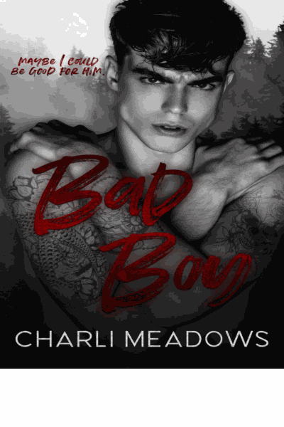 Bad Boy Cover Image