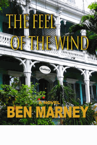 The Feel Of The Wind Cover Image