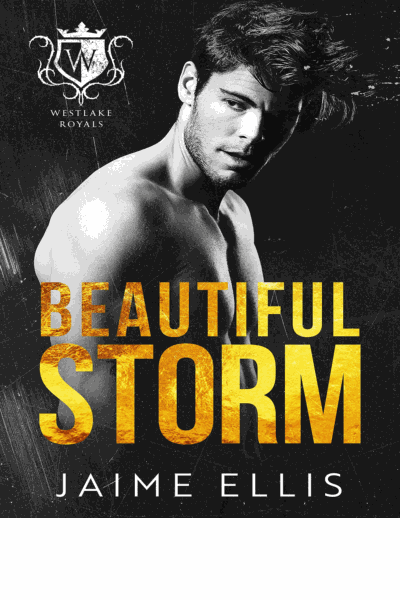 Beautiful Storm Cover Image