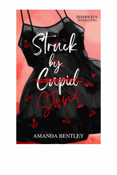 Struck by Stupid (Festive Fun Book 2) Cover Image