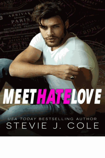 Meet Hate Love Cover Image