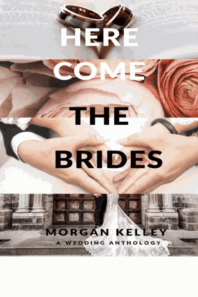 Here Come the Brides Cover Image